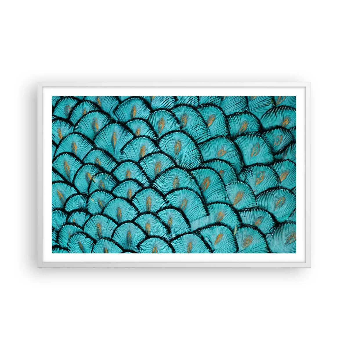 Plakat w białej ramie - Wielka gala piór - 91x61 cm