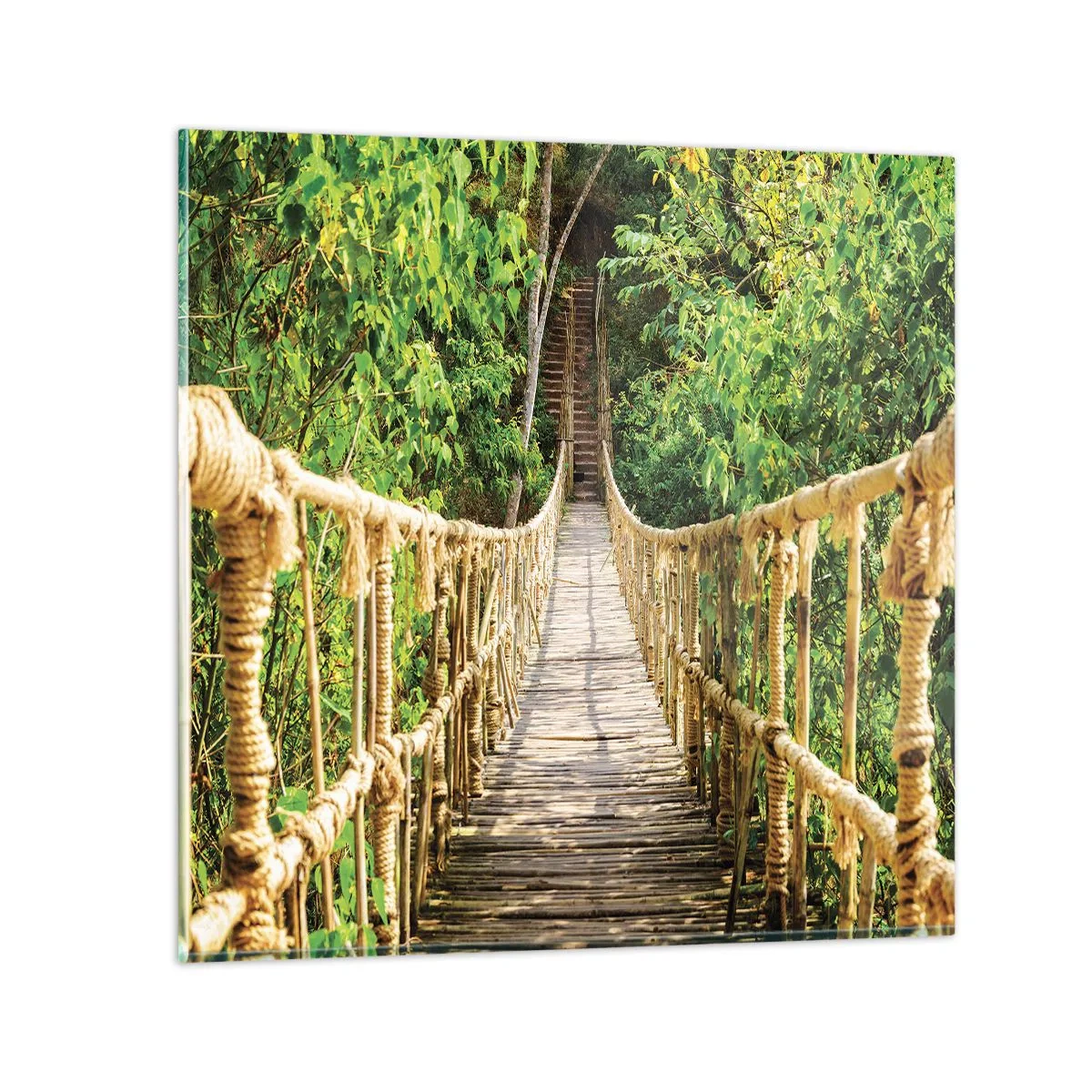 Obraz na szkle - Zawieszony w zieleni - 70x70 cm