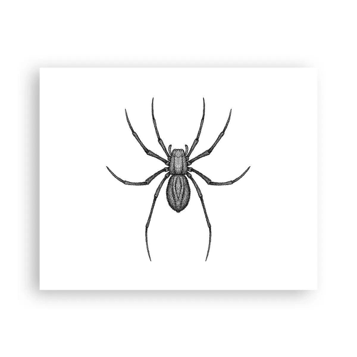 Plakat - Niepokojąca precyzja - 50x40 cm