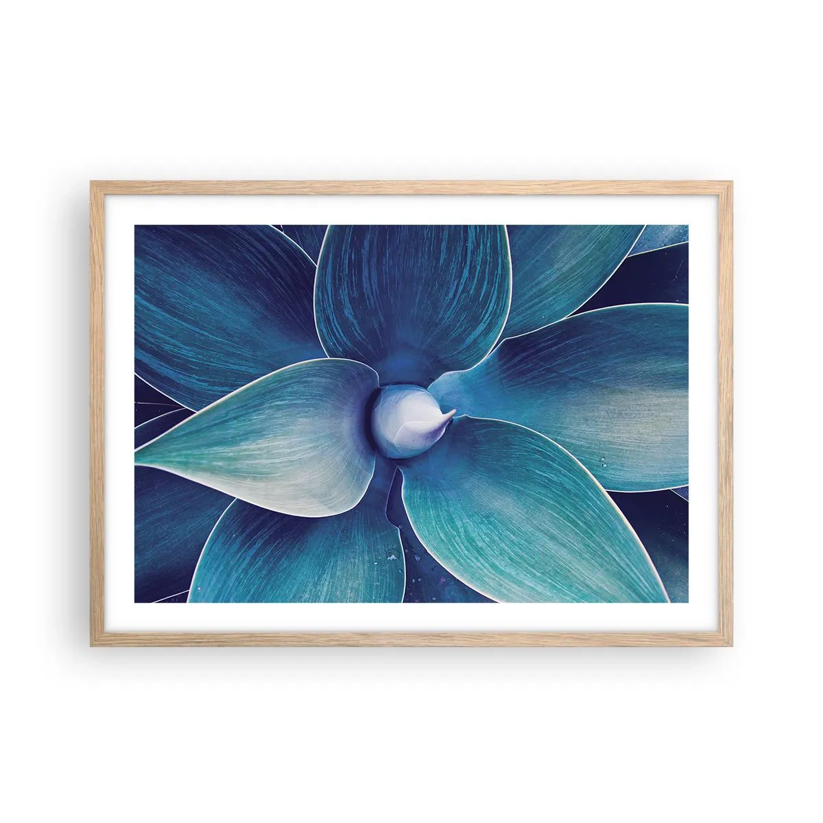 Plakat w ramie jasny dąb - Zbłękitniały od nieba - 70x50 cm