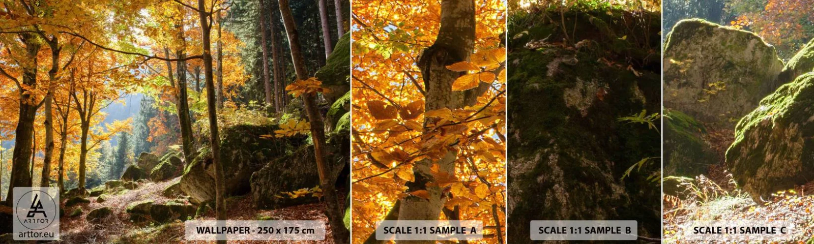 Fototapeta Próbka Standard Eco - Czas na odpoczynek - Krajobraz, Las, Natura - 100x30 cm