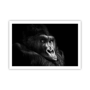 Plakat - I co się patrzysz? - 91x61 cm