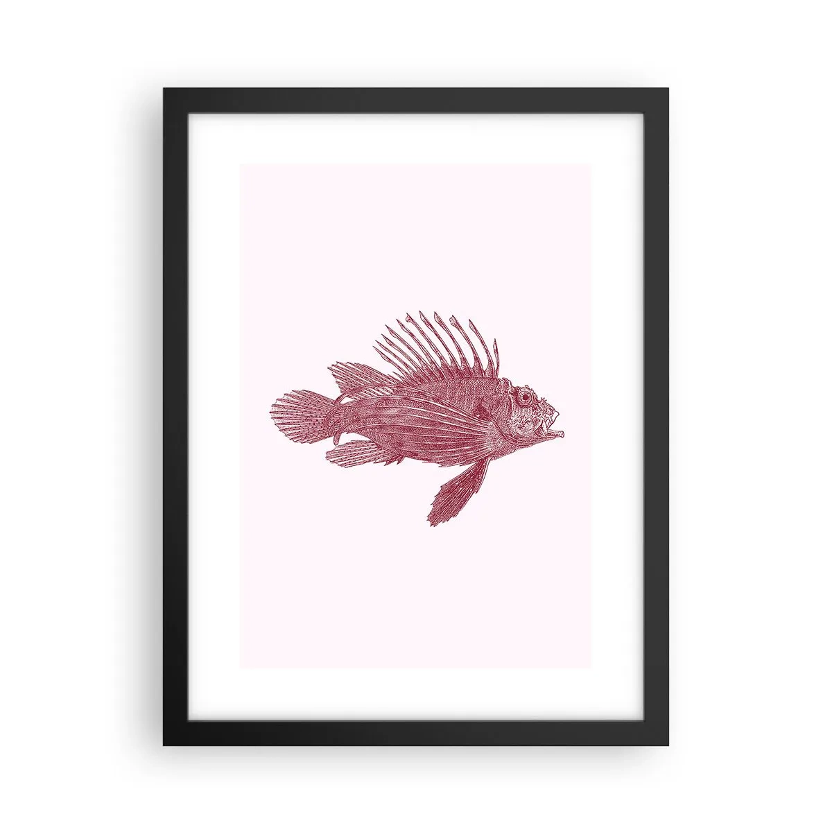 Plakat w czarnej ramie - Mieszkanka egzotycznych wód - 30x40 cm