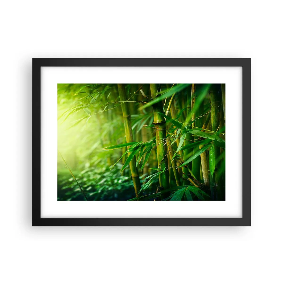 Plakat w czarnej ramie - Poznać zieleń samą w sobie - 40x30 cm
