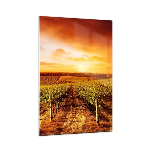 Obraz na szkle - Winnica o zachodzie słońca z ciepłymi odcieniami nieba - 80x120cm - Delikatnie owocowe z nutą słońca - Nowoczesna dekoracja ścienna do salonu i sypialni ARTTOR
