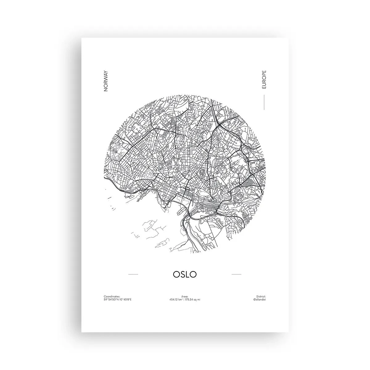 Plakat - Anatomia Oslo - 70x100 cm