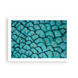 Plakat - Wielka gala piór - 70x50 cm
