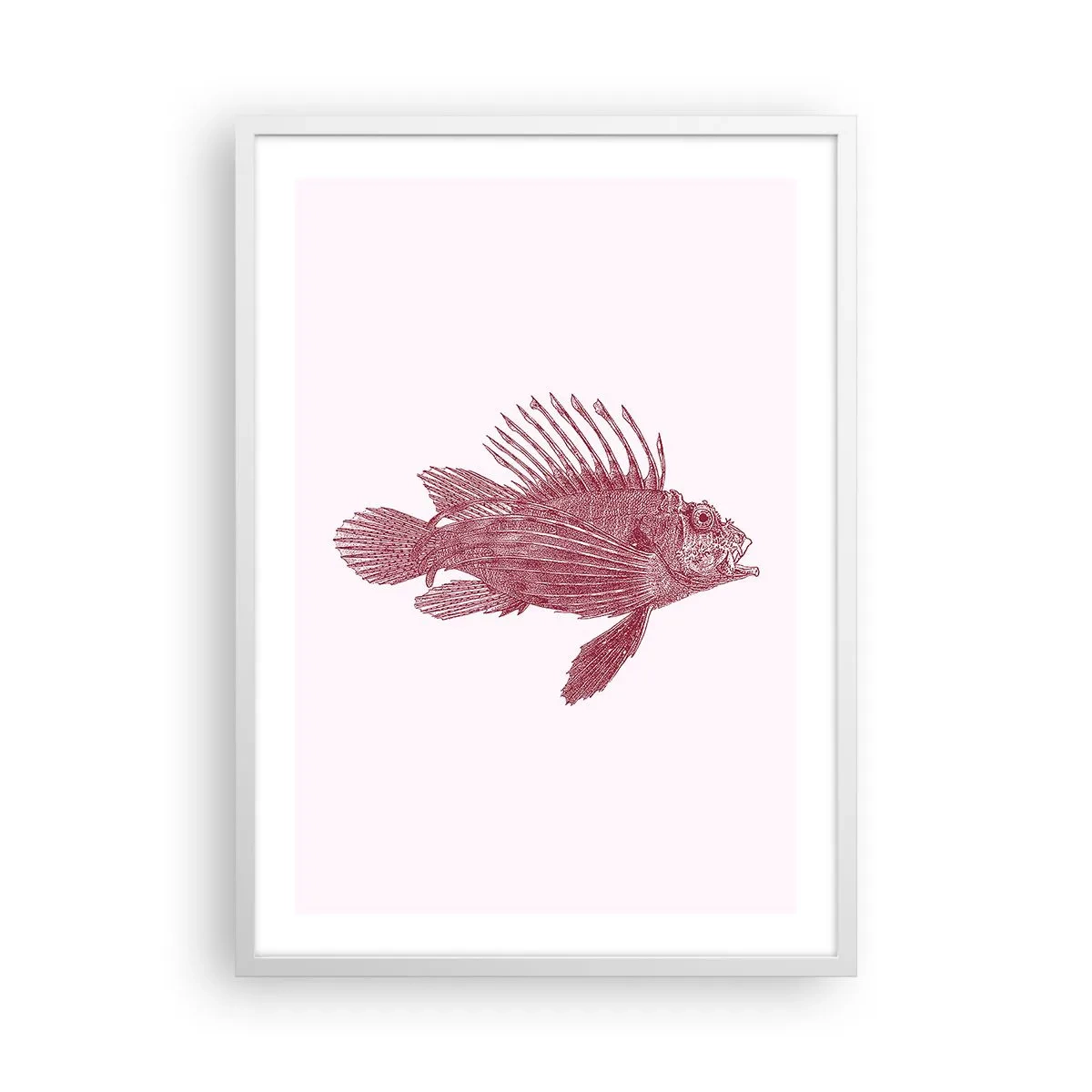 Plakat w białej ramie - Mieszkanka egzotycznych wód - 50x70 cm