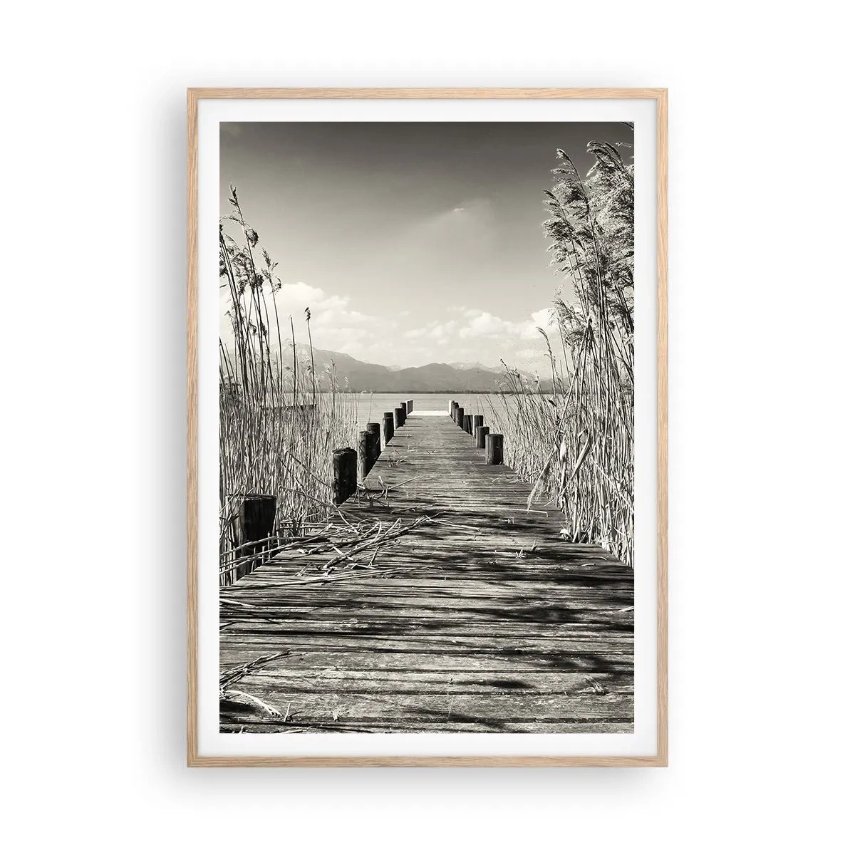 Plakat w ramie jasny dąb - W zaciszu traw - 70x100 cm