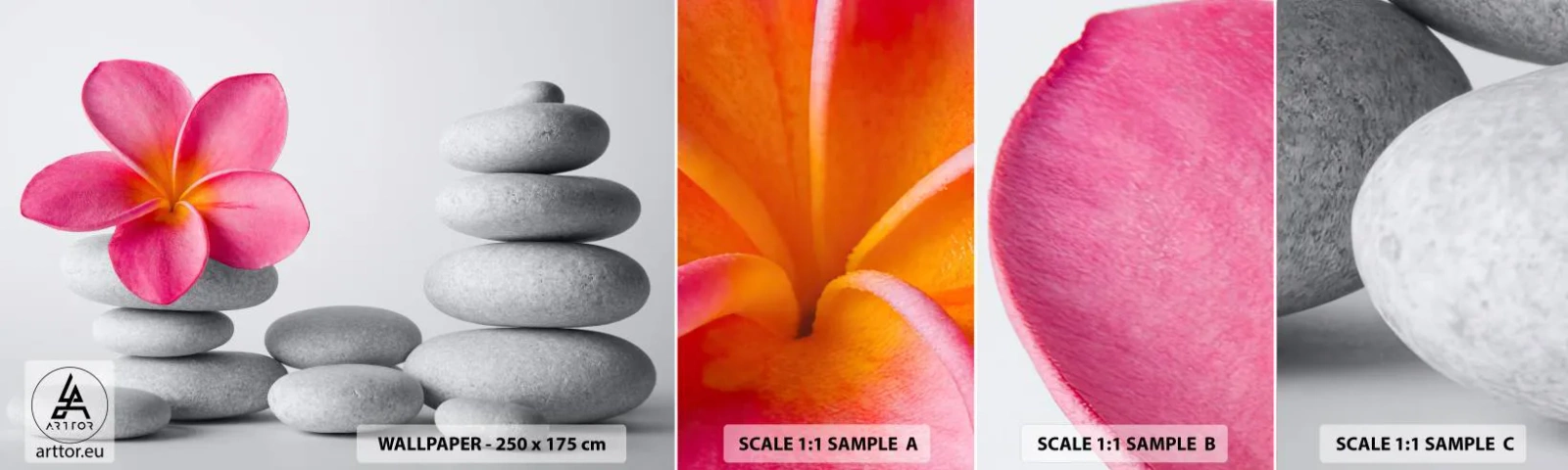 Fototapeta Próbka Standard Eco - Kamień na kamieniu, a na tym kamieniu… - Kwiat, Kamienie, Spa - 100x30 cm