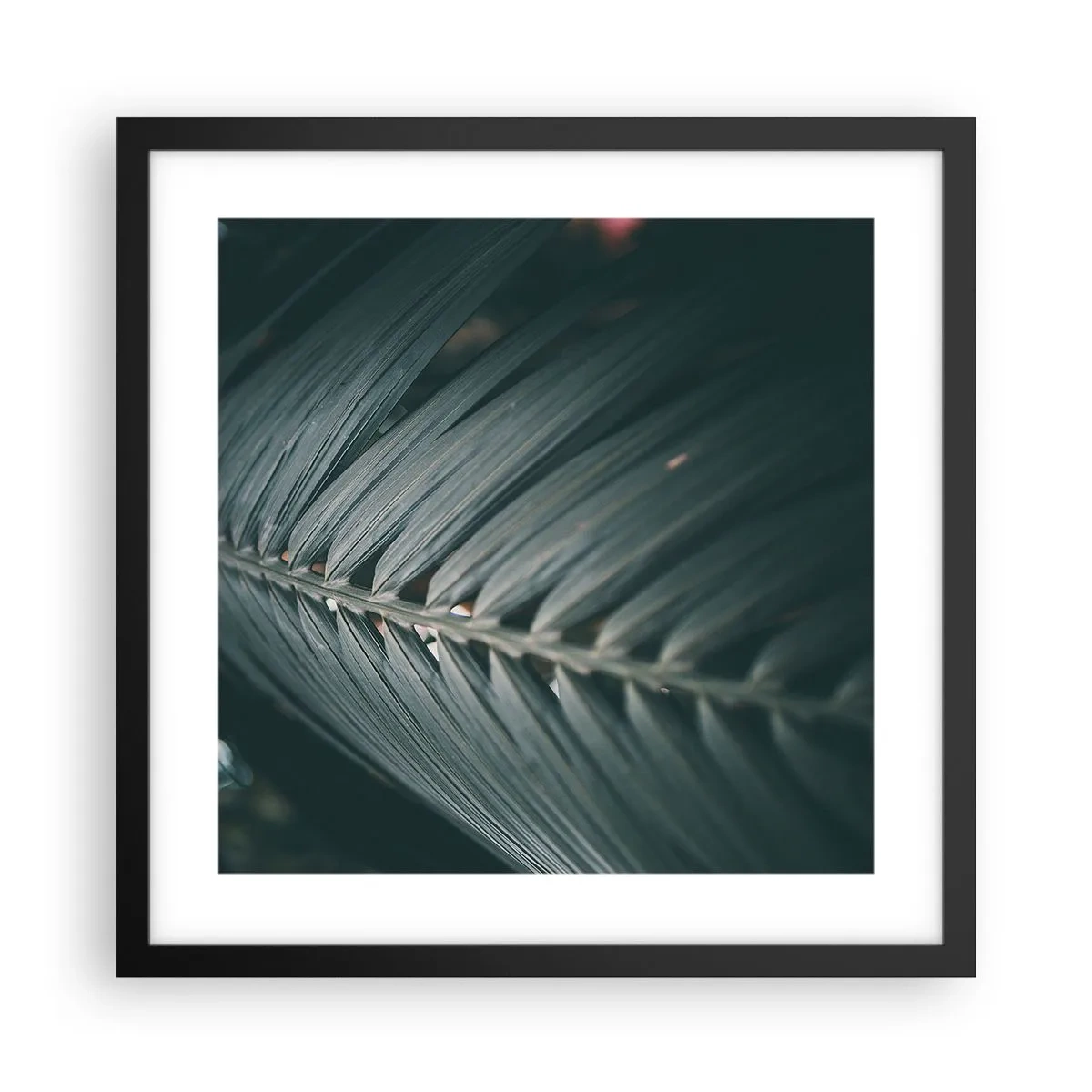 Plakat w czarnej ramie - Precyzja natury - 40x40 cm