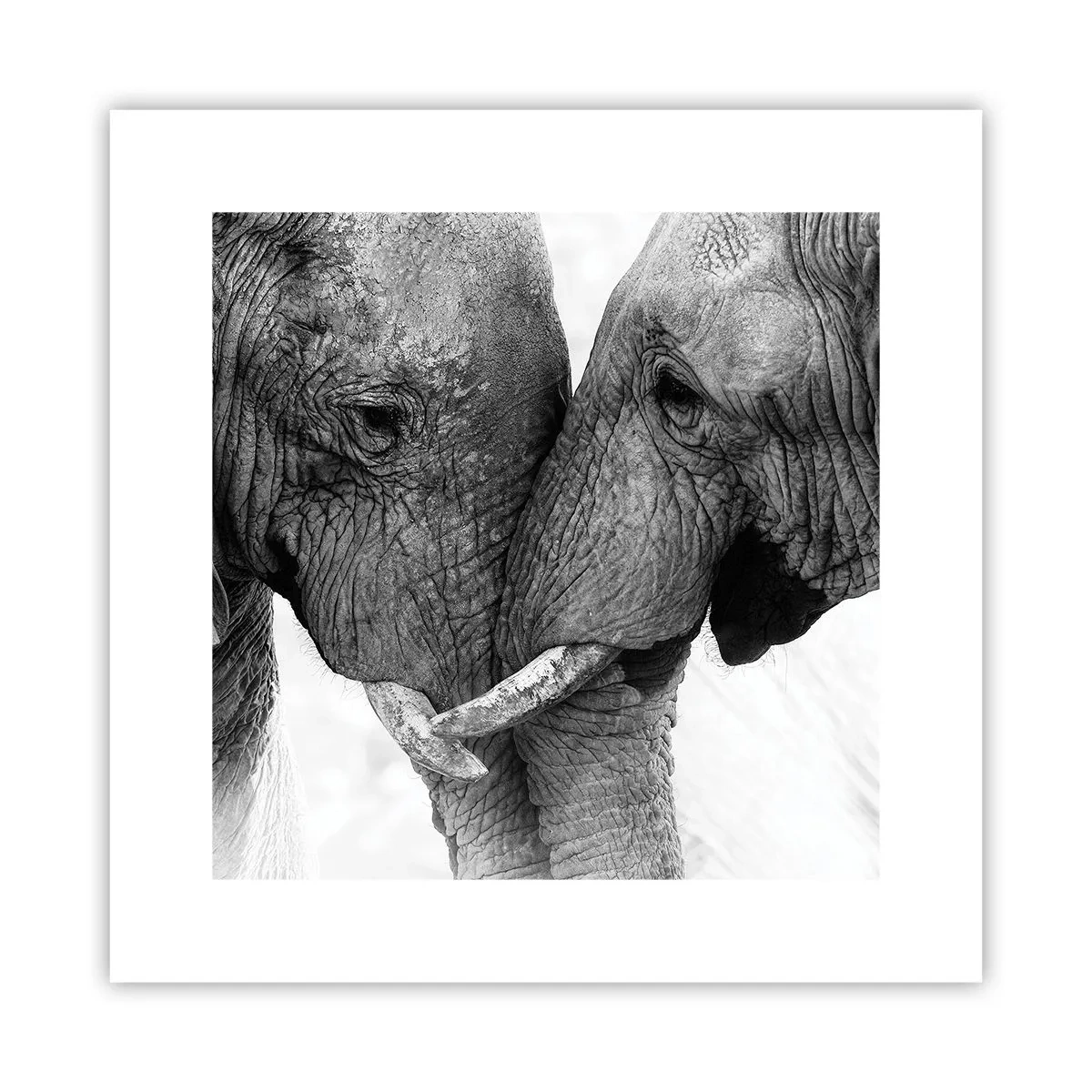 Plakat - Serdeczne wyznanie - 30x30 cm
