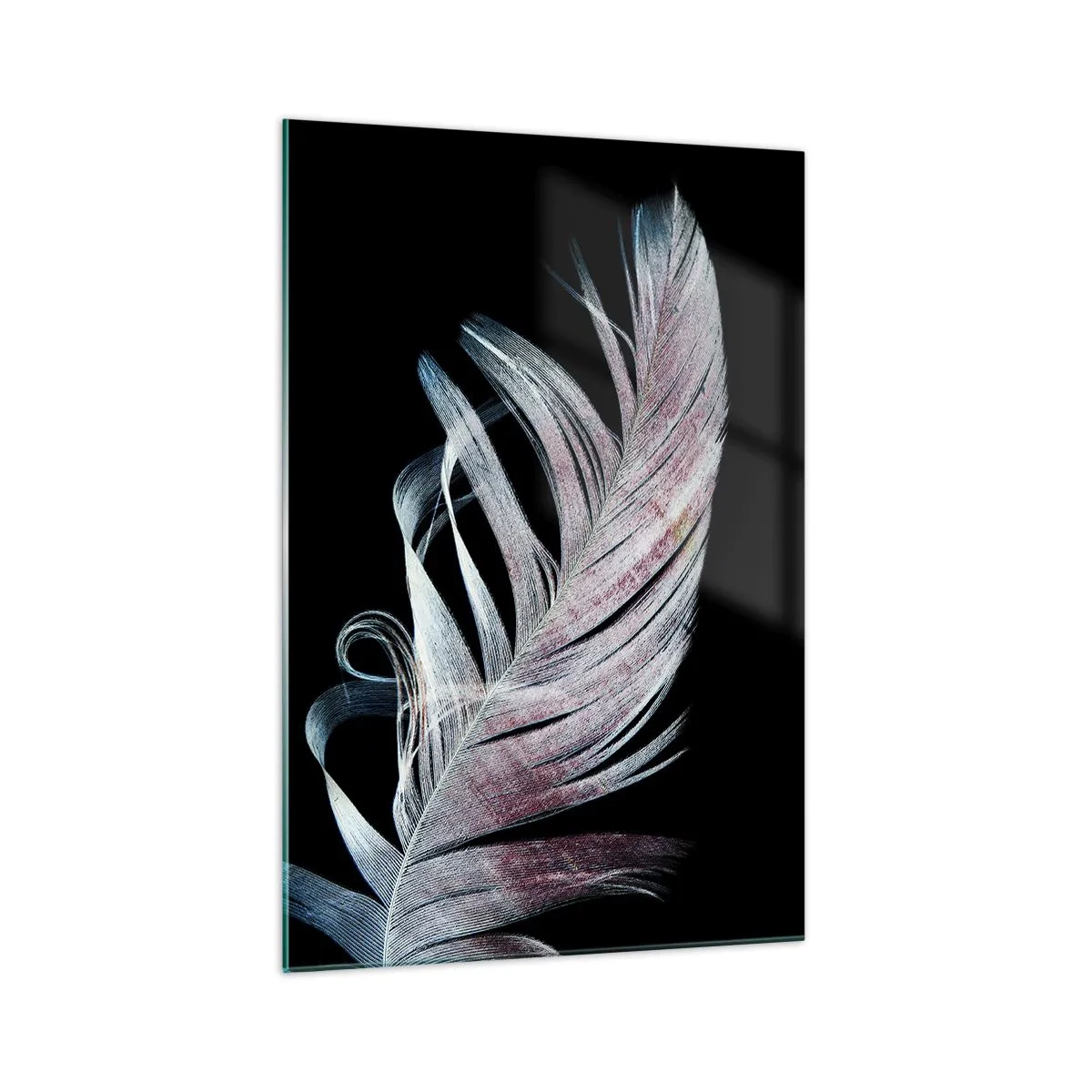 Obraz na szkle - Delikatne pióro na czarnym tle w artystycznym ujęciu - 70x100cm - Pomyśl o dotyku - Nowoczesna dekoracja ścienna do salonu i sypialni ARTTOR