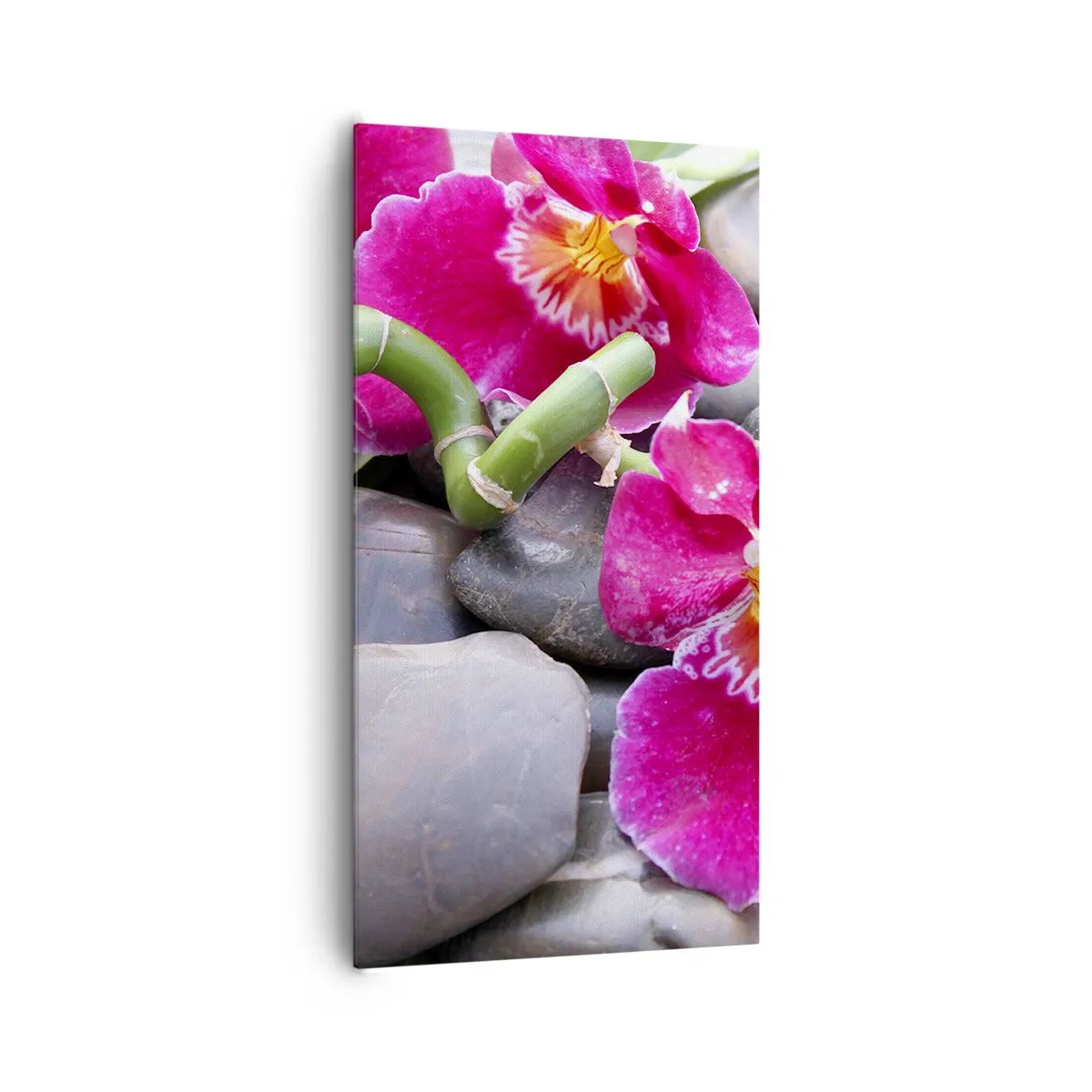 Obraz na płótnie - Chłód i żar - 65x120 cm