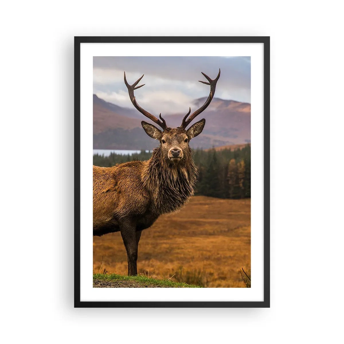 Plakat w czarnej ramie - Fotografia jelenia na tle górskiego krajobrazu - 50x70cm - Majestat natury - Nowoczesna dekoracja ścienna do salonu i sypialni ARTTOR