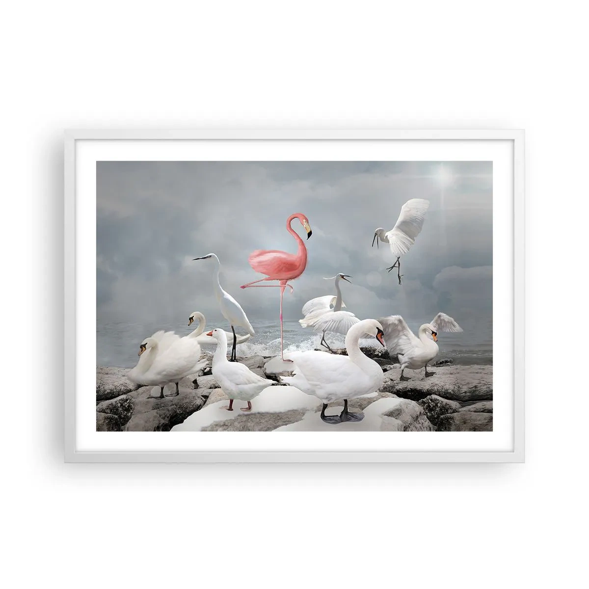 Plakat w białej ramie - Skąd się tu wziąłem? - 70x50 cm