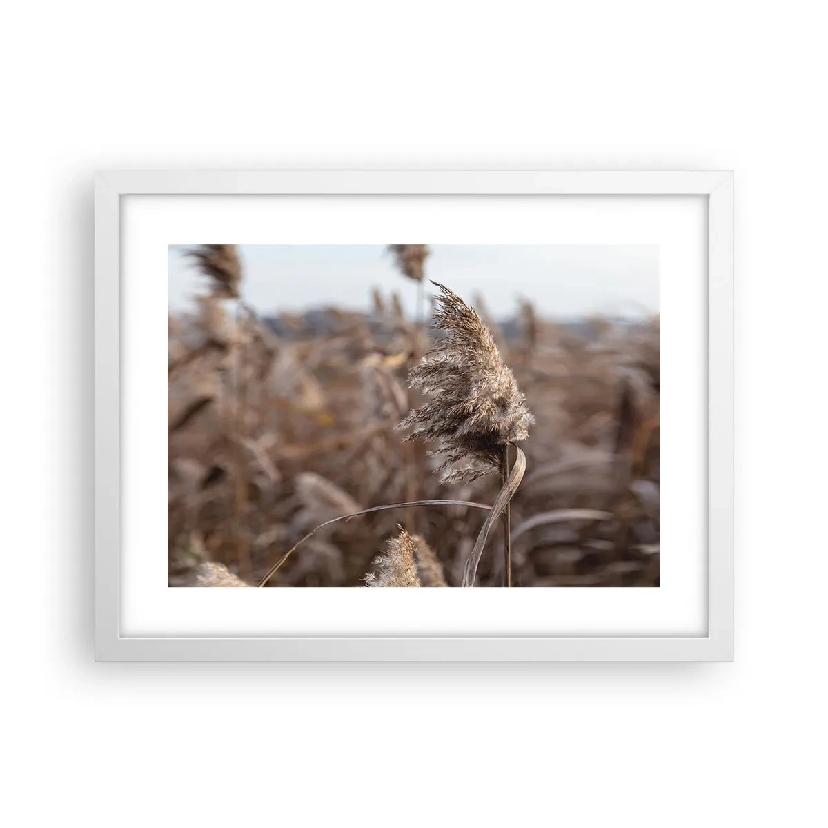 Plakat w białej ramie - Czas odlecieć z wiatrem - 40x30 cm