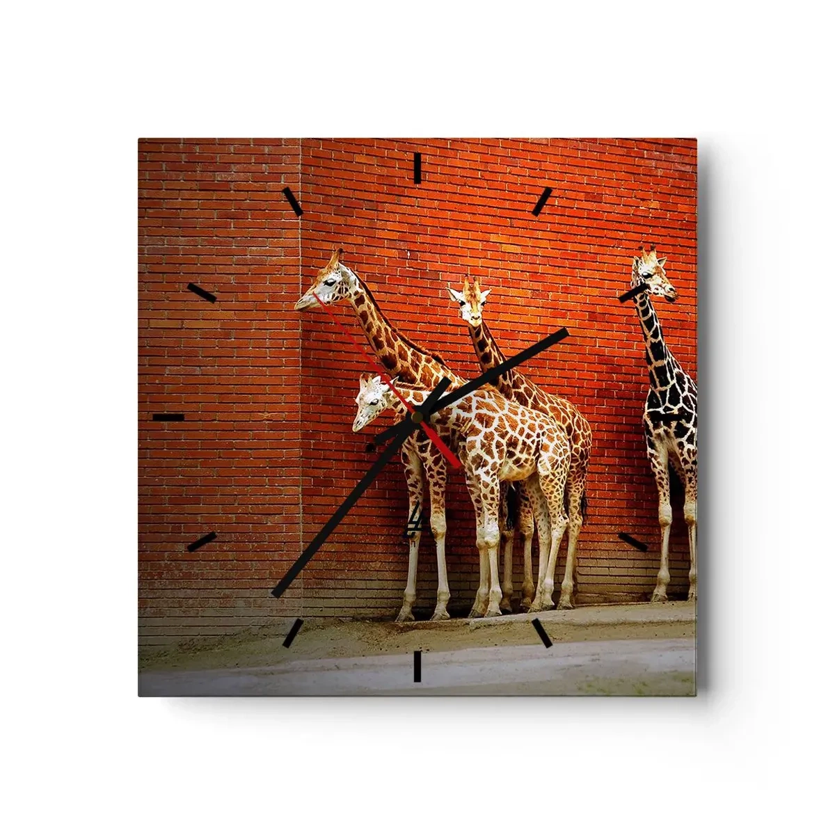 Zegar ścienny - Cztery żyrafy na tle ceglanej ściany w artystycznej scenerii - 30x30cm - Widzicie jakąś akację? - Nowoczesna dekoracja ścienna do salonu i sypialni ARTTOR