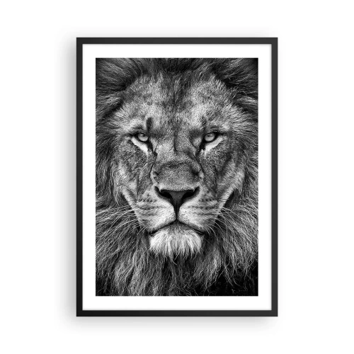 Plakat w czarnej ramie - Czarno-biały portret majestatycznego lwa - 50x70cm - W stroju koronacyjnym - Nowoczesna dekoracja ścienna do salonu i sypialni ARTTOR