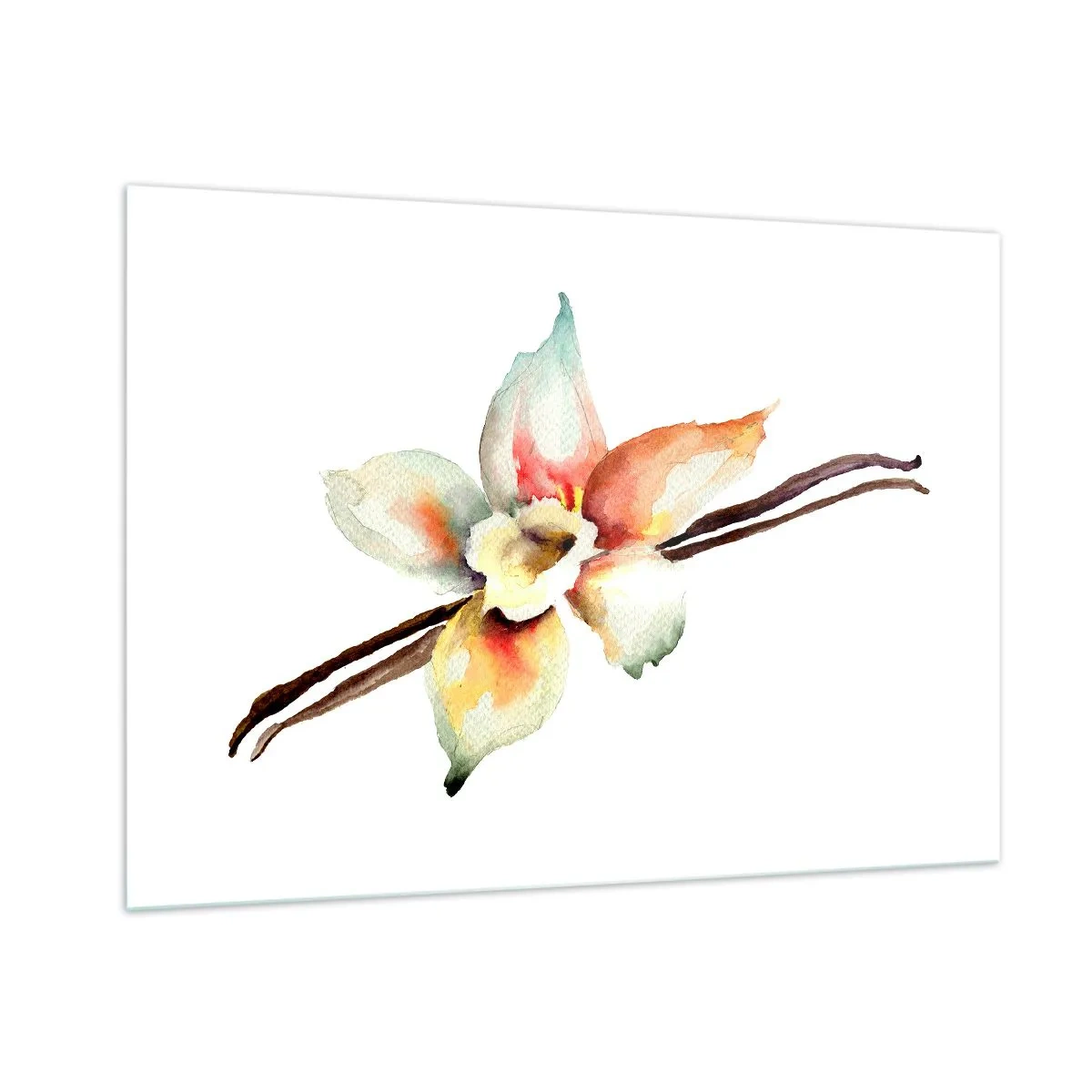 Obraz na szkle - Akwarelowa ilustracja waniliowego kwiatu na białym tle - 100x70cm - Rozlana farbką słodycz - Nowoczesna dekoracja ścienna do salonu, kuchni i sypialni ARTTOR