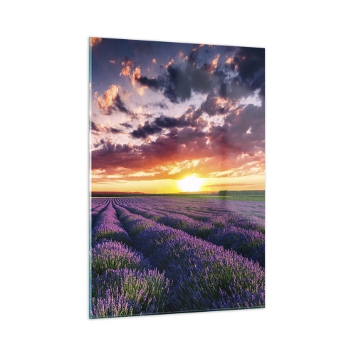 Obraz na szkle - Pole lawendy o zachodzie słońca z kolorowym niebem i chmurami - 50x70cm - Lawendowy świat - Nowoczesna dekoracja ścienna do salonu, kuchni i sypialni ARTTOR