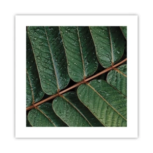 Plakat - W zielonym rytmie - 40x40 cm