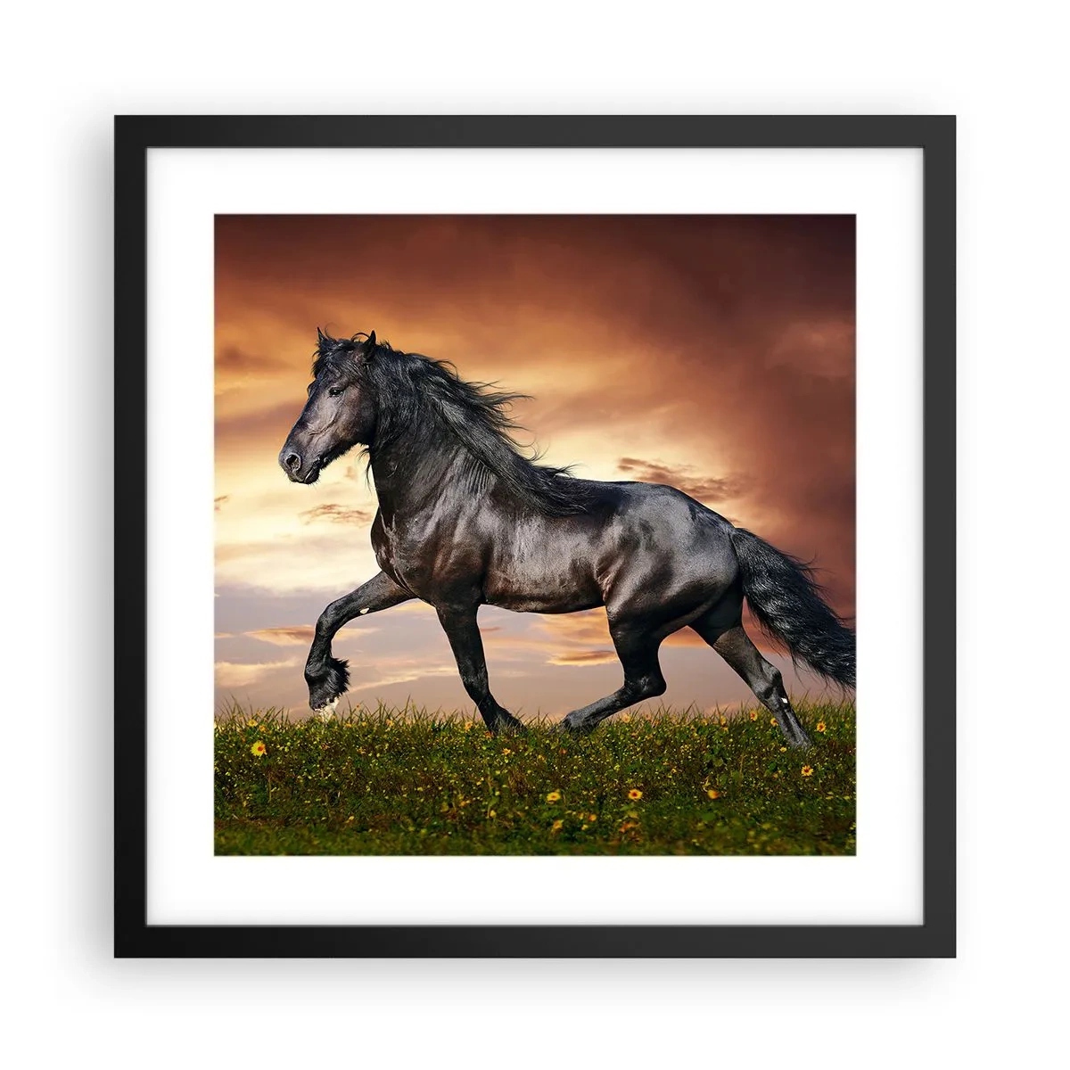 Plakat w czarnej ramie - Czarny książę - 40x40 cm