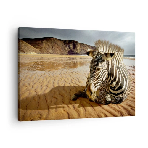 Obraz na płótnie - Zebra odpoczywająca na piaszczystej plaży z klifami w tle - 70x50cm - Pasujemy do siebie - Nowoczesna dekoracja ścienna do salonu i sypialni ARTTOR