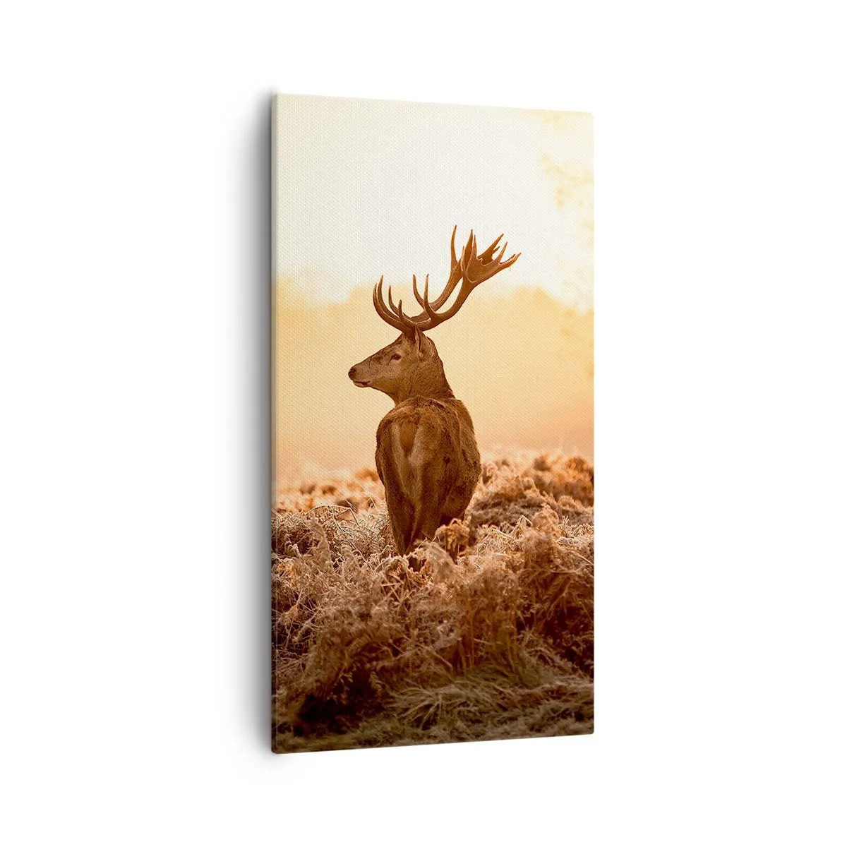 Obraz na płótnie - Pan na włościach - 55x100 cm