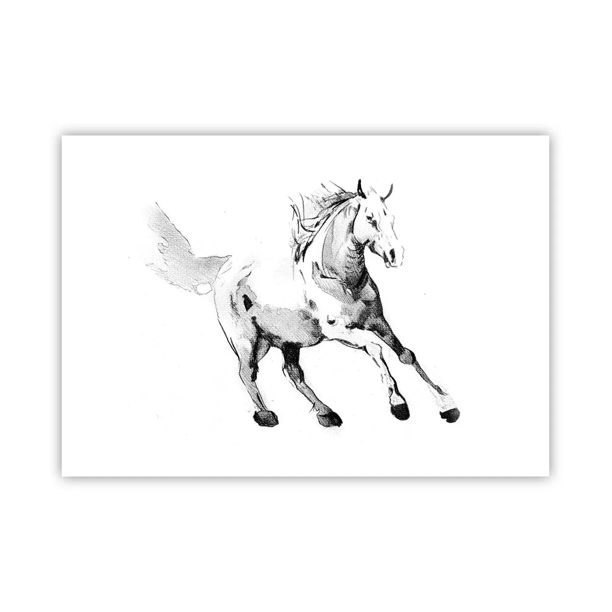 Plakat - Szkic galopującego konia w odcieniach czerni i bieli - 100x70cm - Nieujarzmiona dusza - Nowoczesna dekoracja ścienna do salonu i sypialni ARTTOR