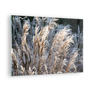 Obraz na szkle - Zmrożone trawy w zimowym słońcu - 70x50cm - Szronem ustrojone - Nowoczesna dekoracja ścienna do salonu i sypialni ARTTOR