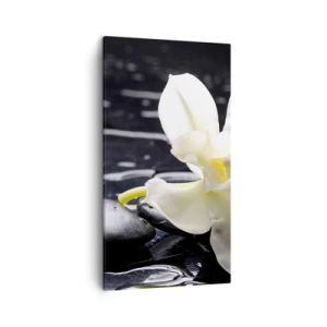 Obraz na płótnie - Studium w czerni i bieli - 45x80 cm