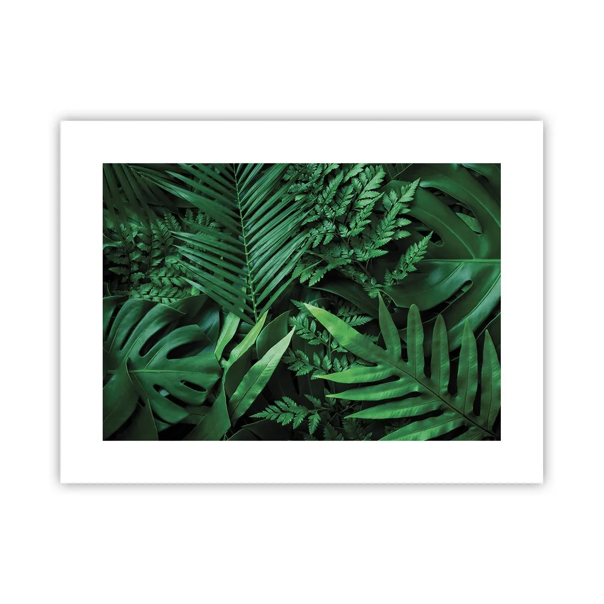 Plakat - Utulone w zieleni - 40x30 cm