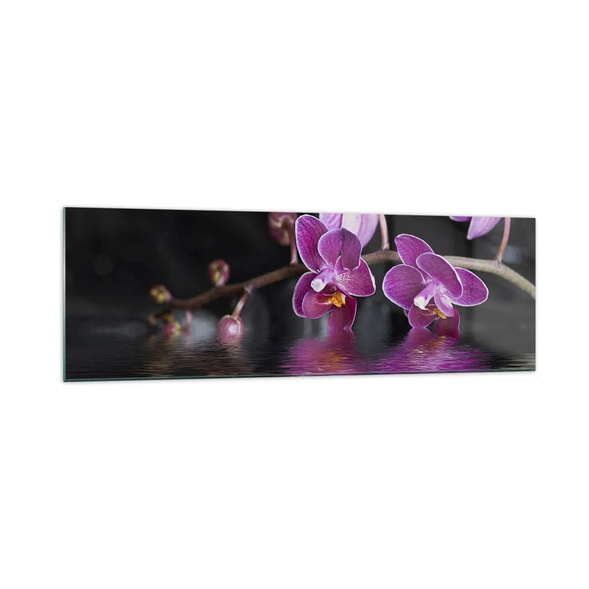 Obraz na szkle - Fioletowe orchidee nad spokojną wodą na tle czarnym - 160x50cm - Liliowe odbicie piękna - Nowoczesna dekoracja ścienna do salonu i sypialni ARTTOR