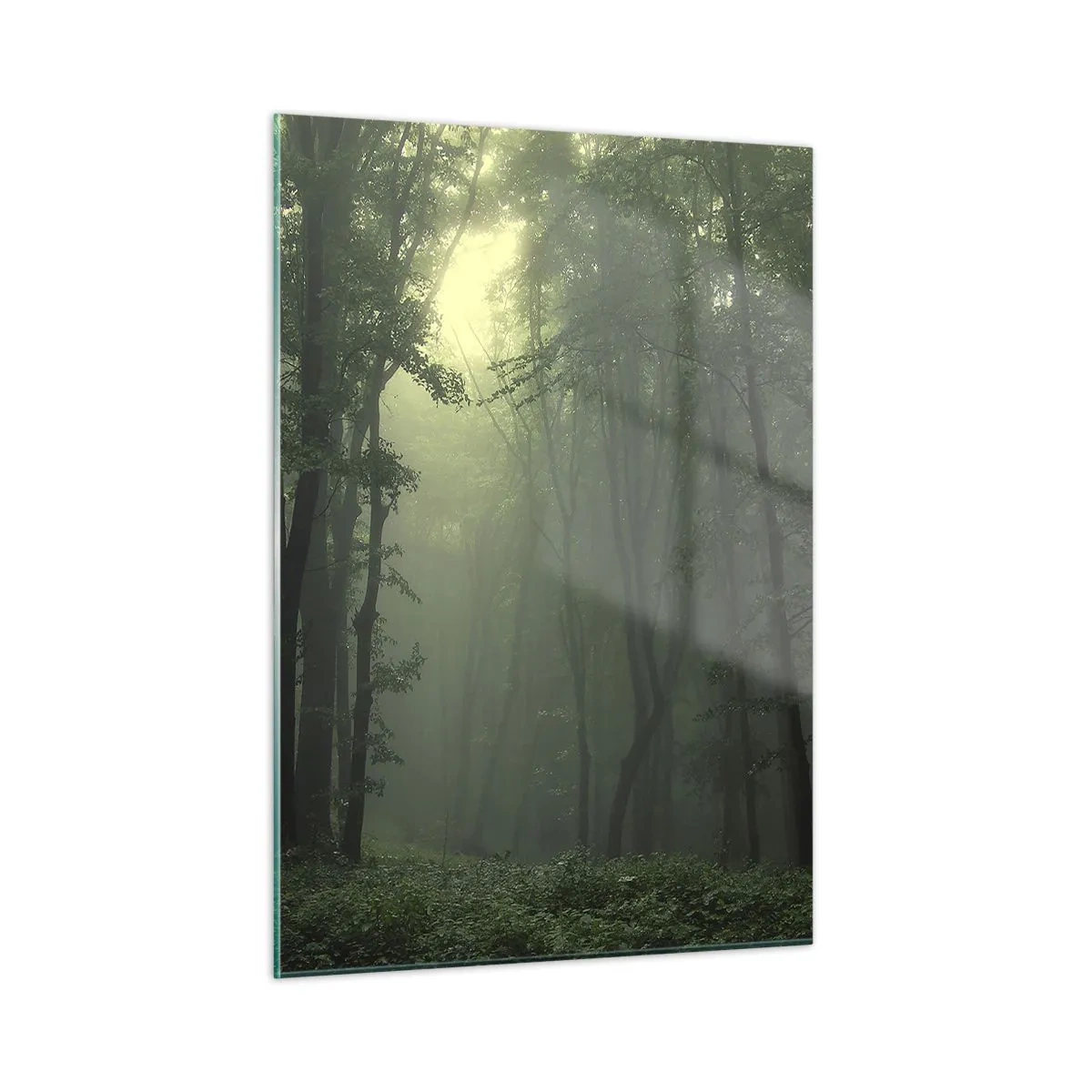 Obraz na szkle - Mroczny las spowity mgłą z promieniami światła - 50x70cm - Zanim się obudzi - Nowoczesna dekoracja ścienna do salonu, kuchni i sypialni ARTTOR