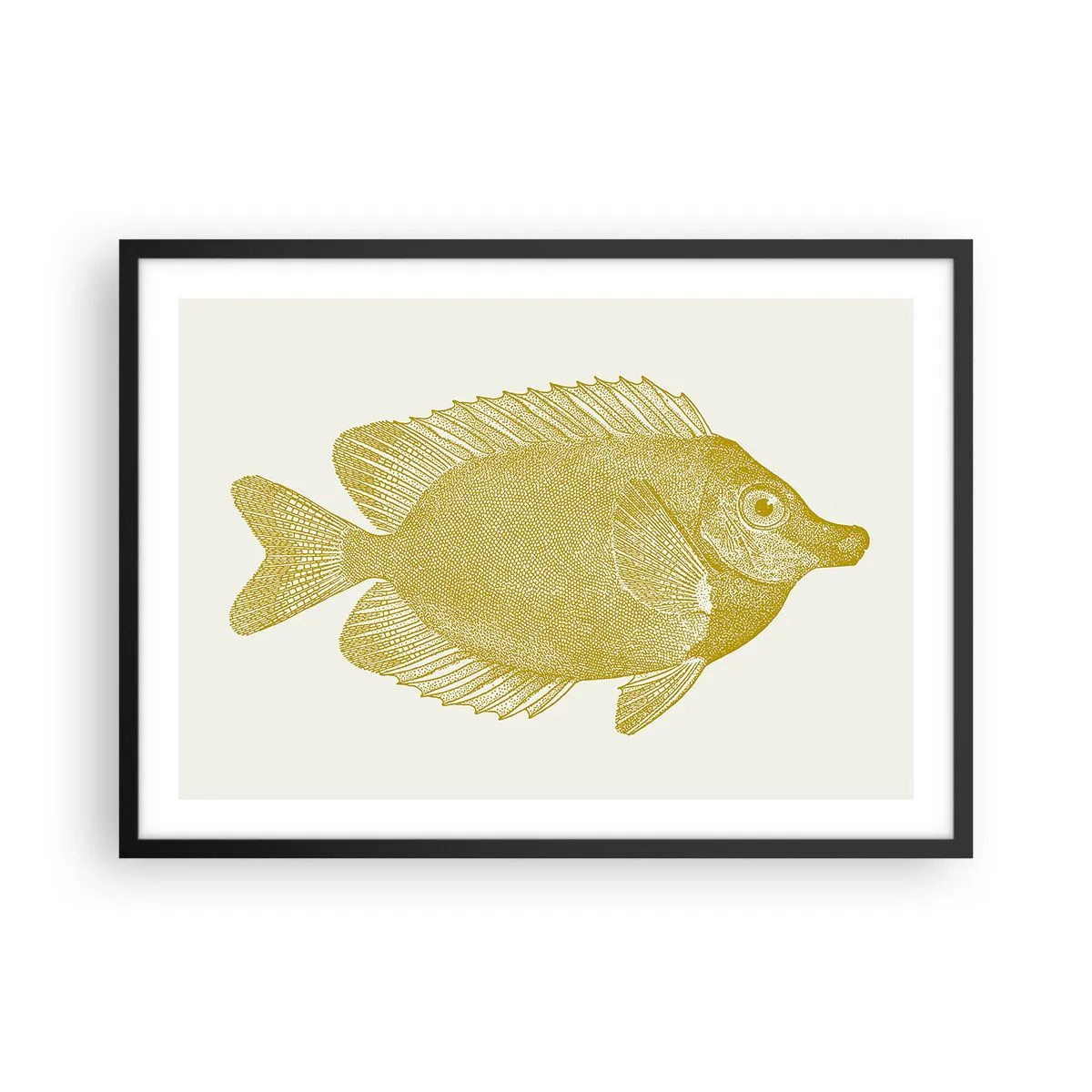 Plakat w czarnej ramie - Złota ryba w stylu vintage na jasnym tle - 70x50cm - Ryba i tyle - Nowoczesna dekoracja ścienna do salonu i sypialni ARTTOR