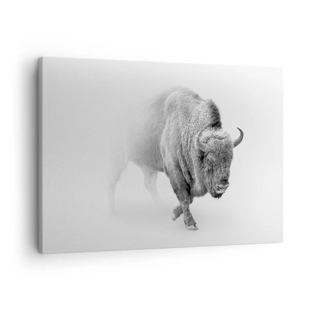 Obraz na płótnie - Biały bizon w minimalistycznej scenerii - 70x50cm - Król prerii - Nowoczesna dekoracja ścienna do salonu i sypialni ARTTOR