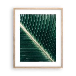 Plakat w ramie jasny dąb - Rytm natury - 40x50 cm