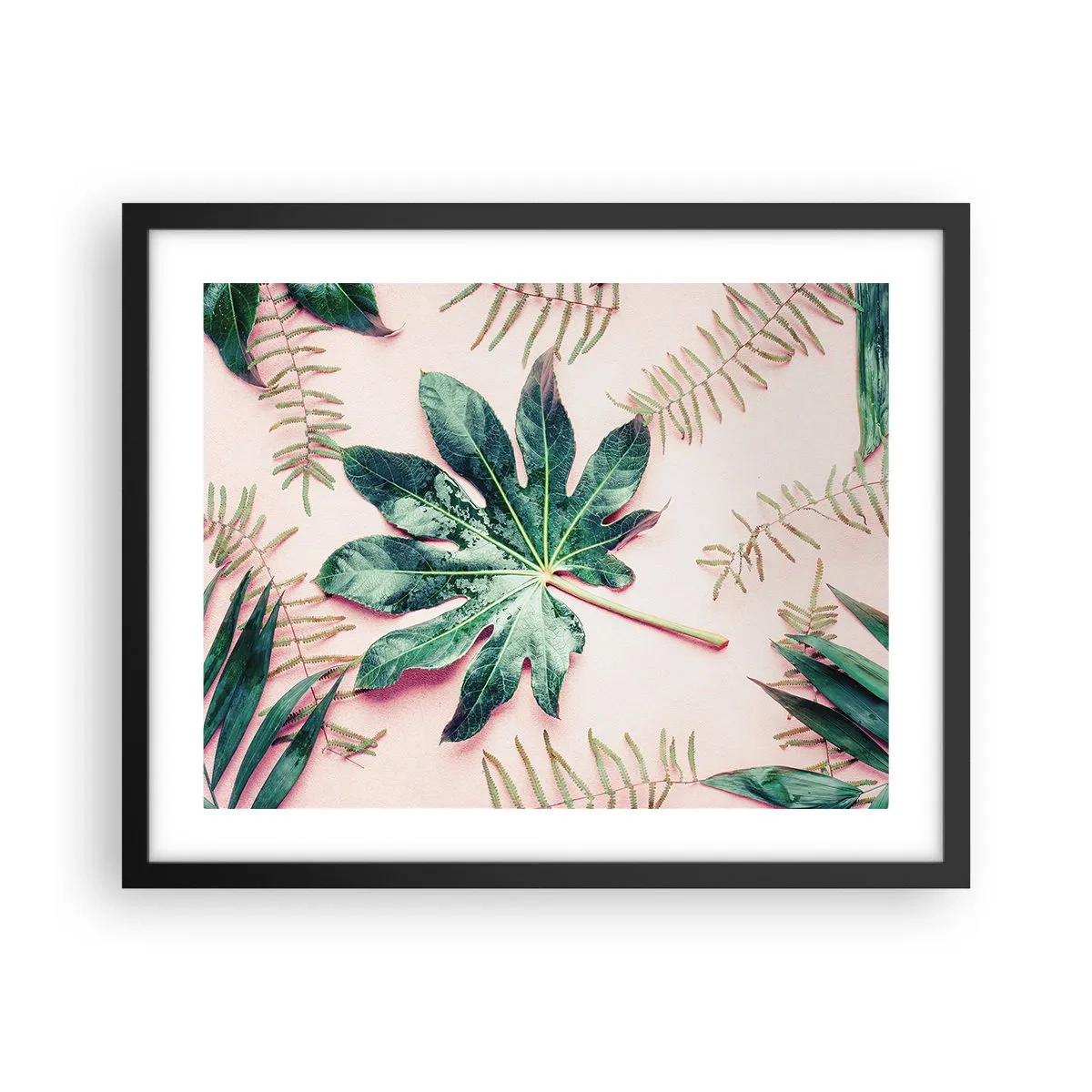 Plakat w czarnej ramie - Studium zieleni na różowym tle - 50x40 cm