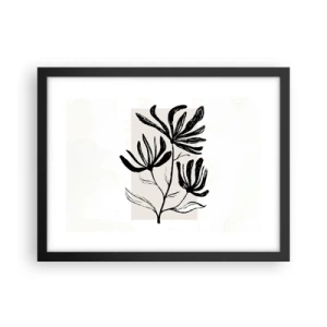 Plakat w czarnej ramie - Szkic do zielnika - 40x30 cm