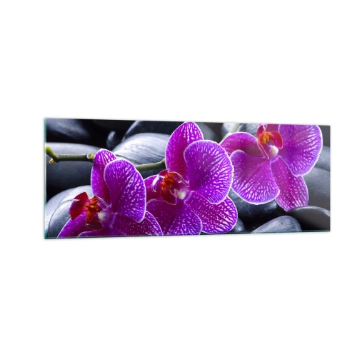 Obraz na szkle - Fioletowe orchidee na tle czarnych kamieni - 140x50cm - Kamienie pojaśniały z zachwytu - Nowoczesna dekoracja ścienna do salonu i sypialni ARTTOR