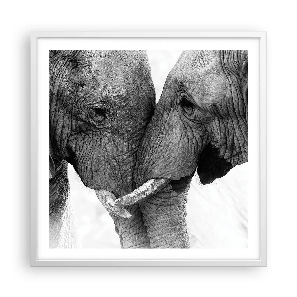 Plakat w białej ramie - Serdeczne wyznanie - 60x60 cm