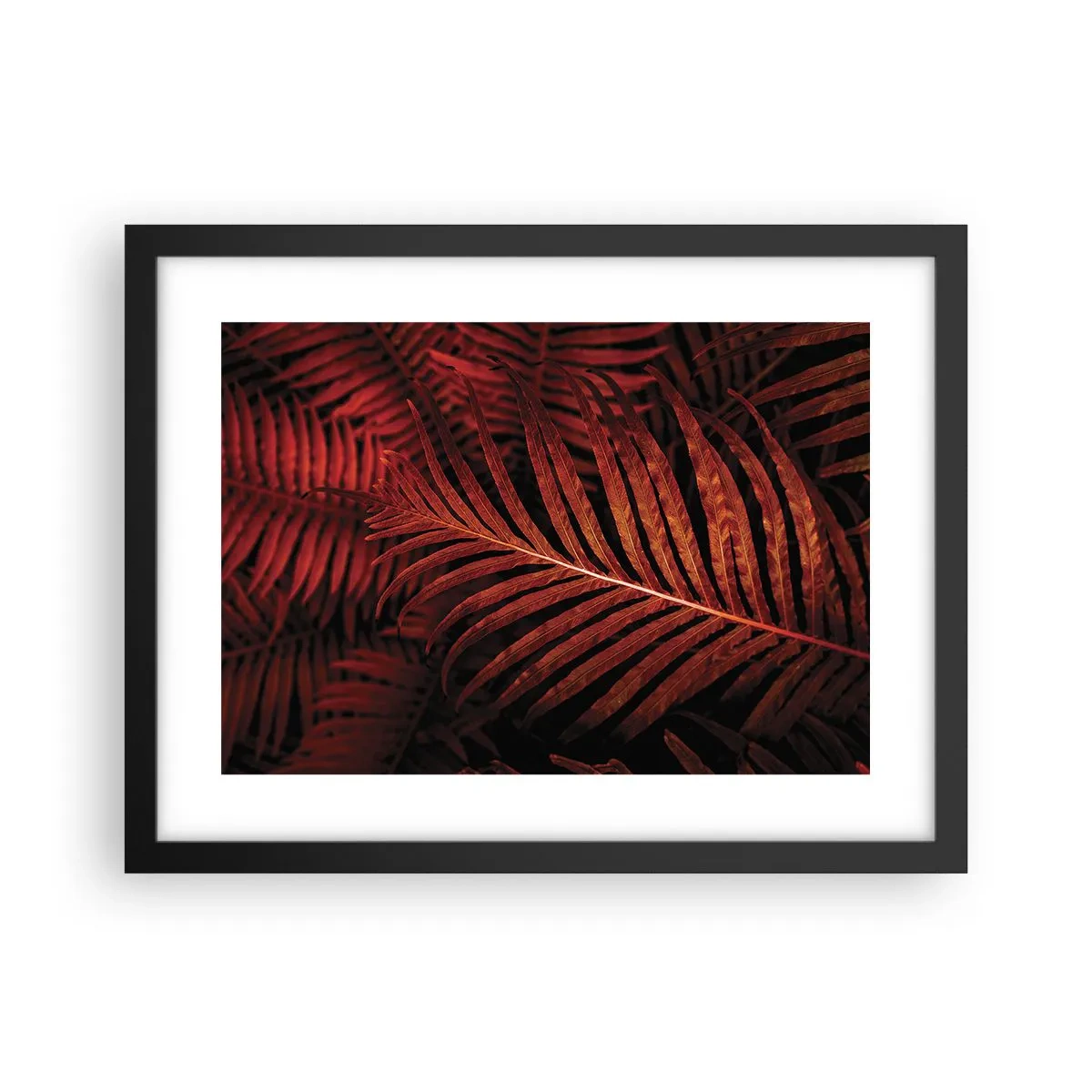 Plakat w czarnej ramie - Żar życia - 40x30 cm