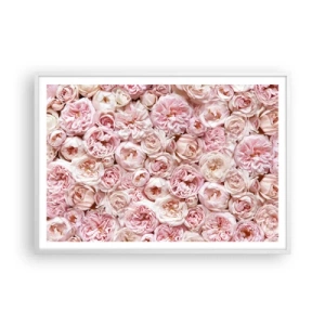Plakat w białej ramie - Usłane różami - 100x70 cm