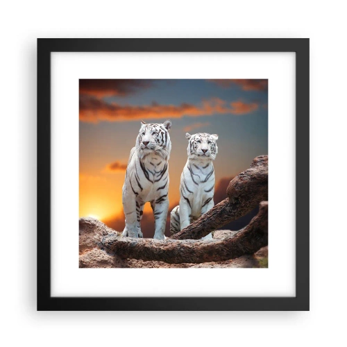 Plakat w czarnej ramie - Zupełnie jak w Narni - 30x30 cm