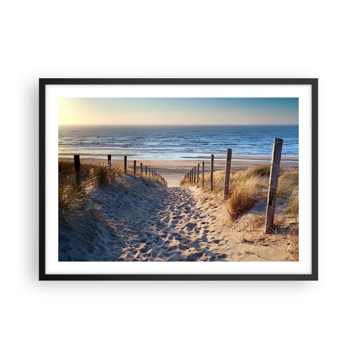 Plakat w czarnej ramie - Ścieżka przez wydmy prowadząca na plażę - 70x50cm - Morza szum, ptaków śpiew, dzika plaża pośród traw… - Nowoczesna dekoracja ścienna do salonu i sypialni ARTTOR