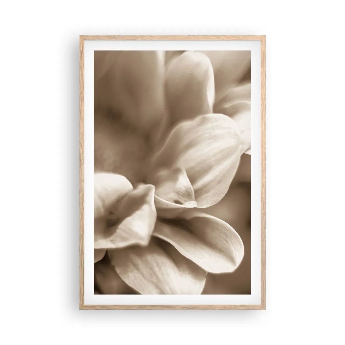 Plakat w ramie jasny dąb - Łagodne jak uśmiech - 61x91 cm