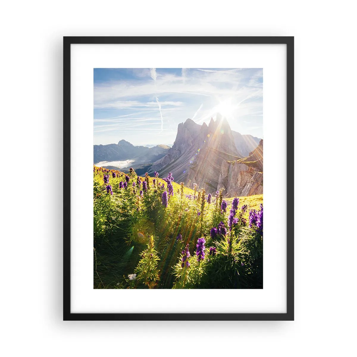 Plakat w czarnej ramie - Sekretne życie ziół - 40x50 cm