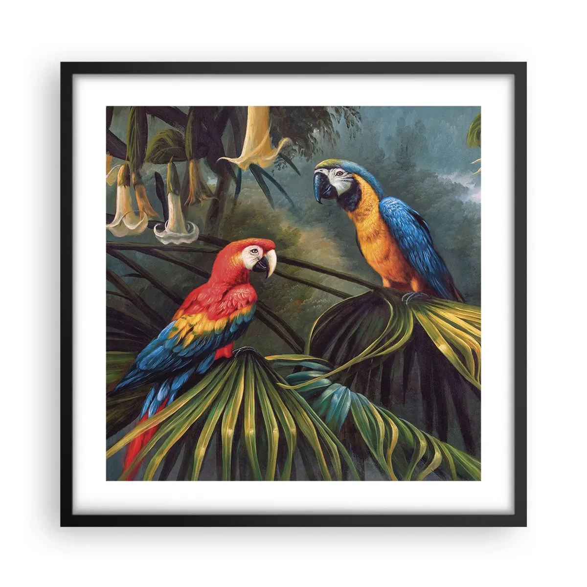 Plakat w czarnej ramie - Romantyzm w tropikach - 50x50 cm