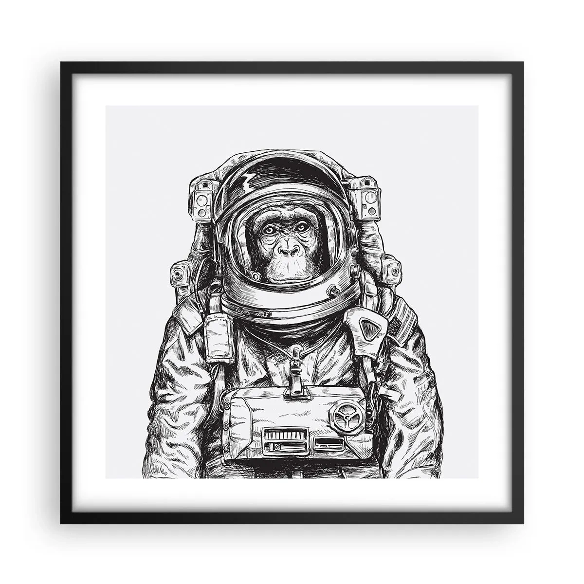 Plakat w czarnej ramie - Alternatywna ewolucja - 50x50 cm